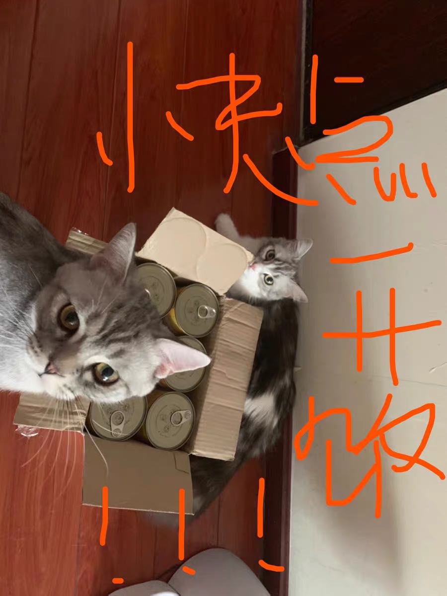 能治愈挑嘴喵星人的进口猫罐头怎么样，好用吗？使用感受分享,第2张