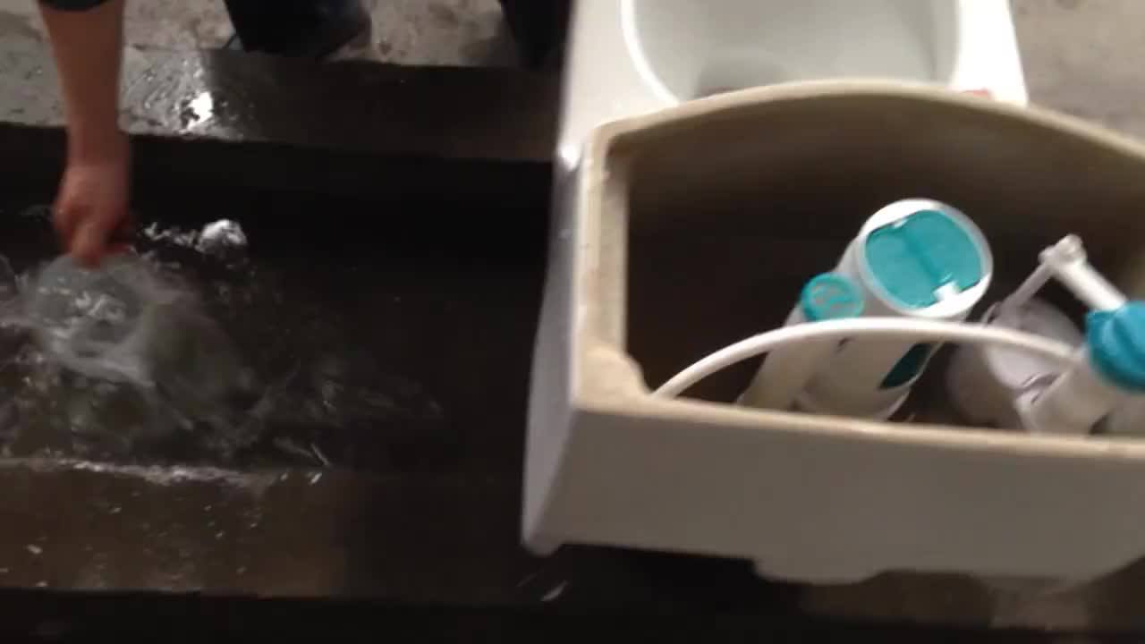 Washdown And Siphon Flushing Seat Tank Two Piece Toilet Is Popular