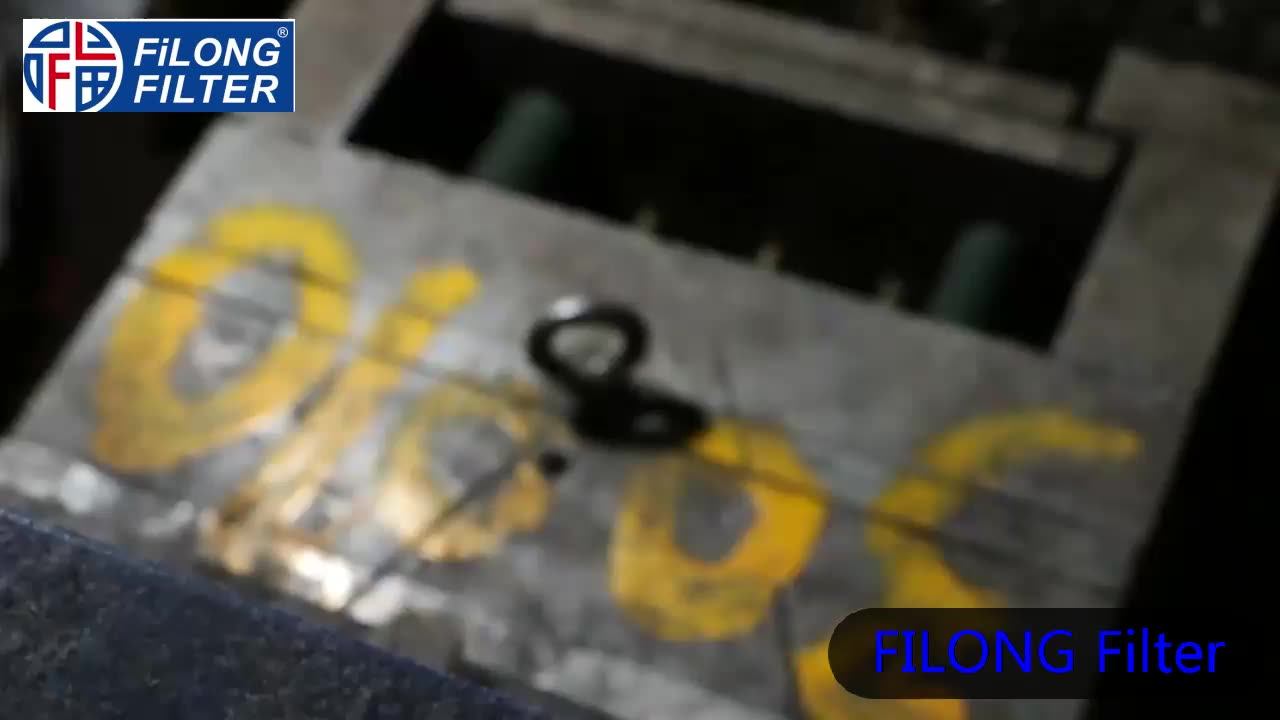 Filong Manufacturer Use For Ford Galaxy Fuel Filter Automobile Ffs3021