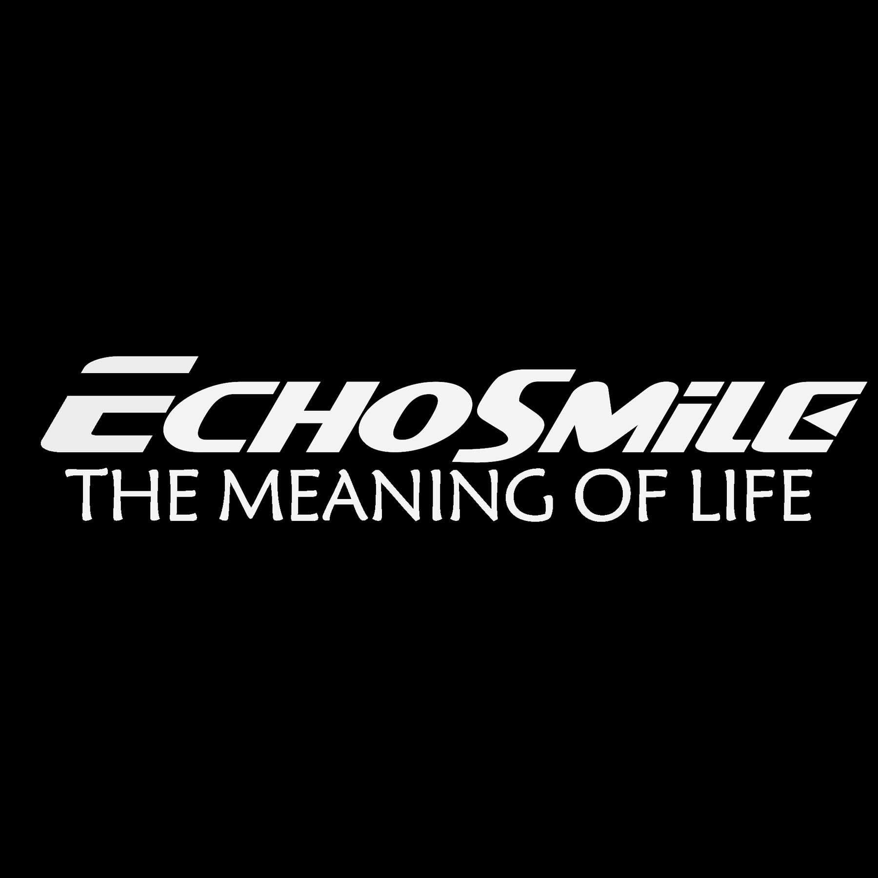 EchoSmile中国的LOGO