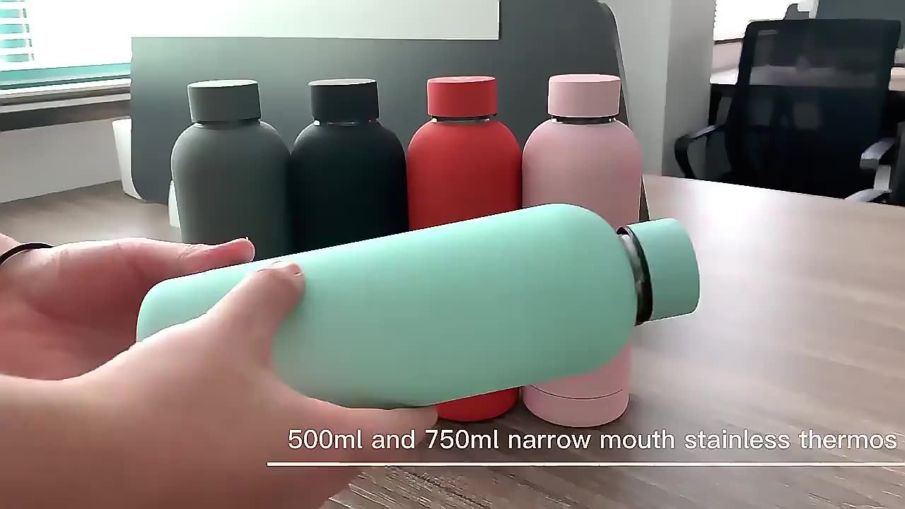 500ml Eco-friendly Stainless Steel Sports Water Bottle Oem