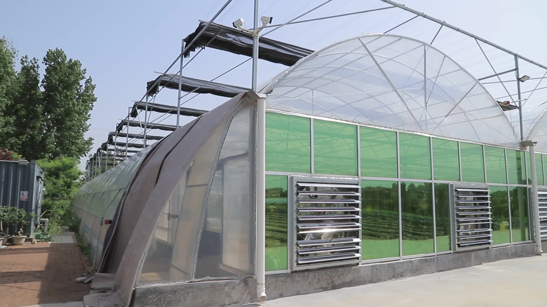 High Quality Low Price Plastic Greenhouses With Nft Channel Hydroponics