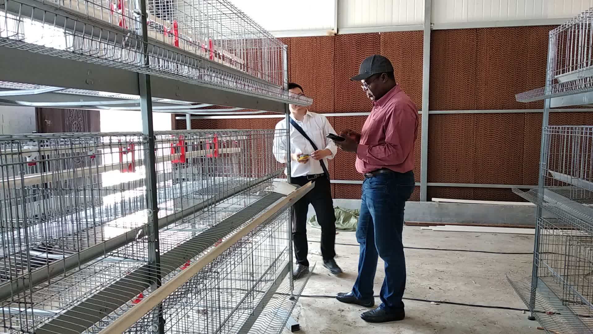 Chicken Cage Philippines Poultry Farm Layer Equipment Used Poultry