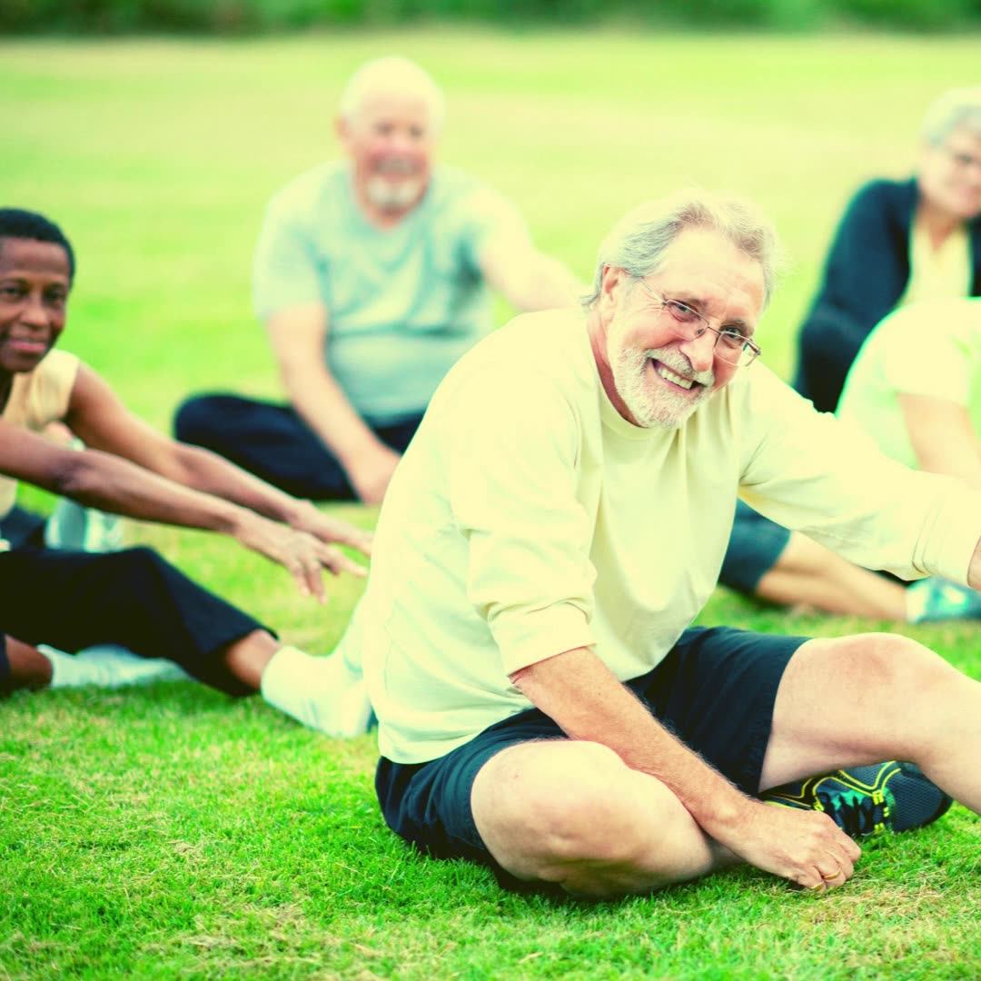 Wholesale Puritans Pride Abc Plus Senior Multivitamin Multimineral