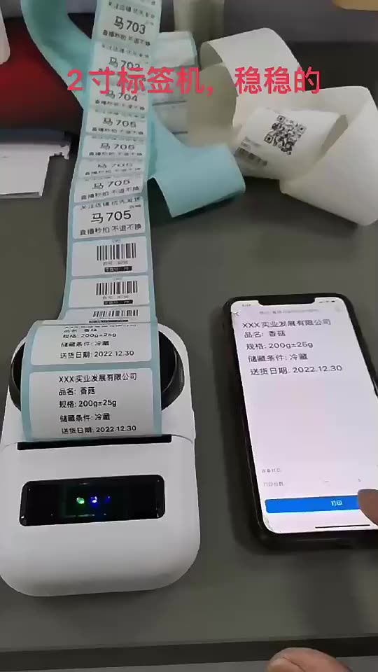 Pt260 Portable Thermal Label Printer For Android Ios With Paper Roll