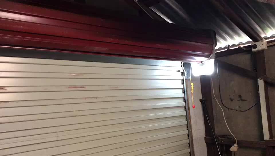 Fresh Price Swing Roll Up Electric Motor For Garage Door Opener Buy