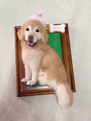 Wool felt simulation pet cat puppy custom pet ornaments photo frame Wool felt finished product photo DIY memorial