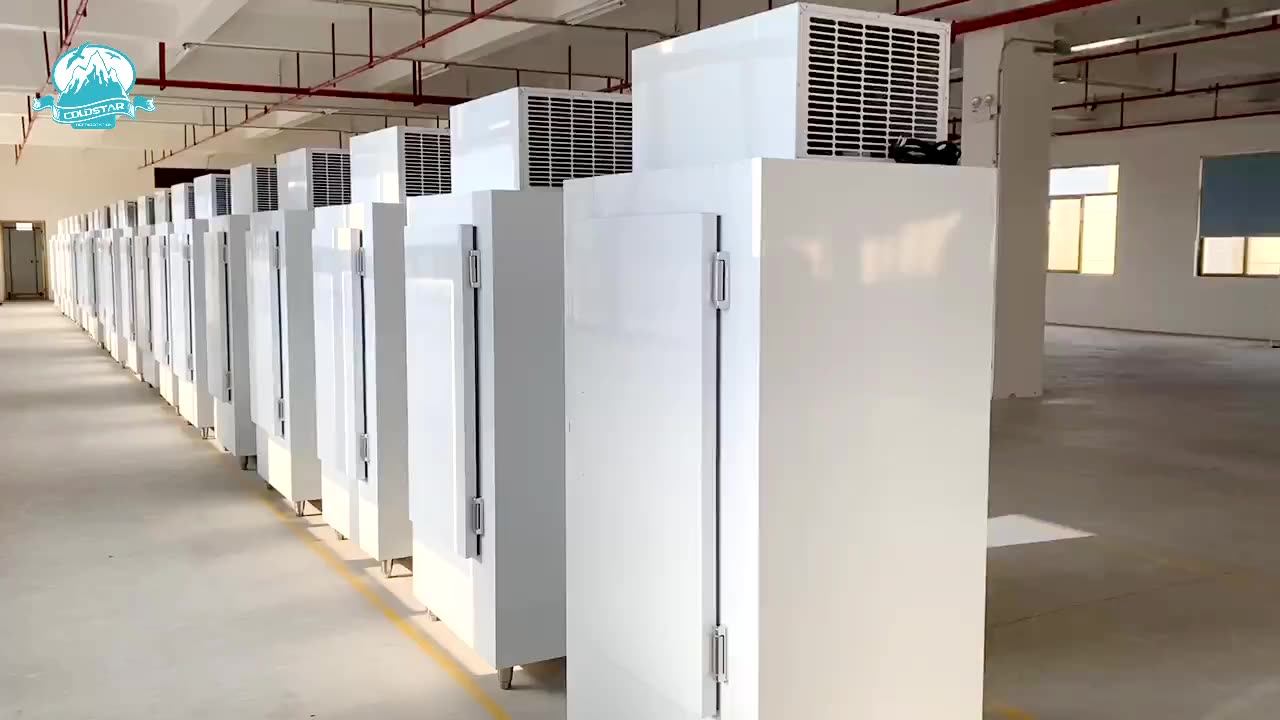 Ice Bag Refrigerator Gas Station Outdoor Dry Ice Bag Storage Freezer