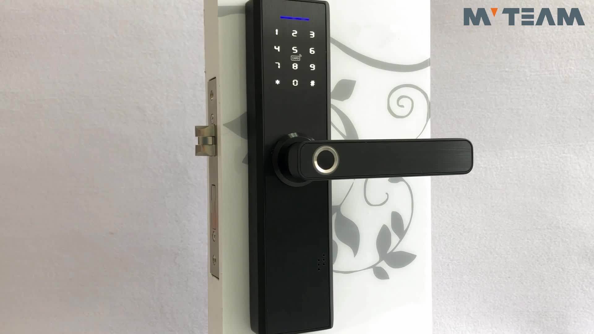 Smart Home Tuya Or Ttlock App Wifi Remote Keyless Fingerprint Biometric
