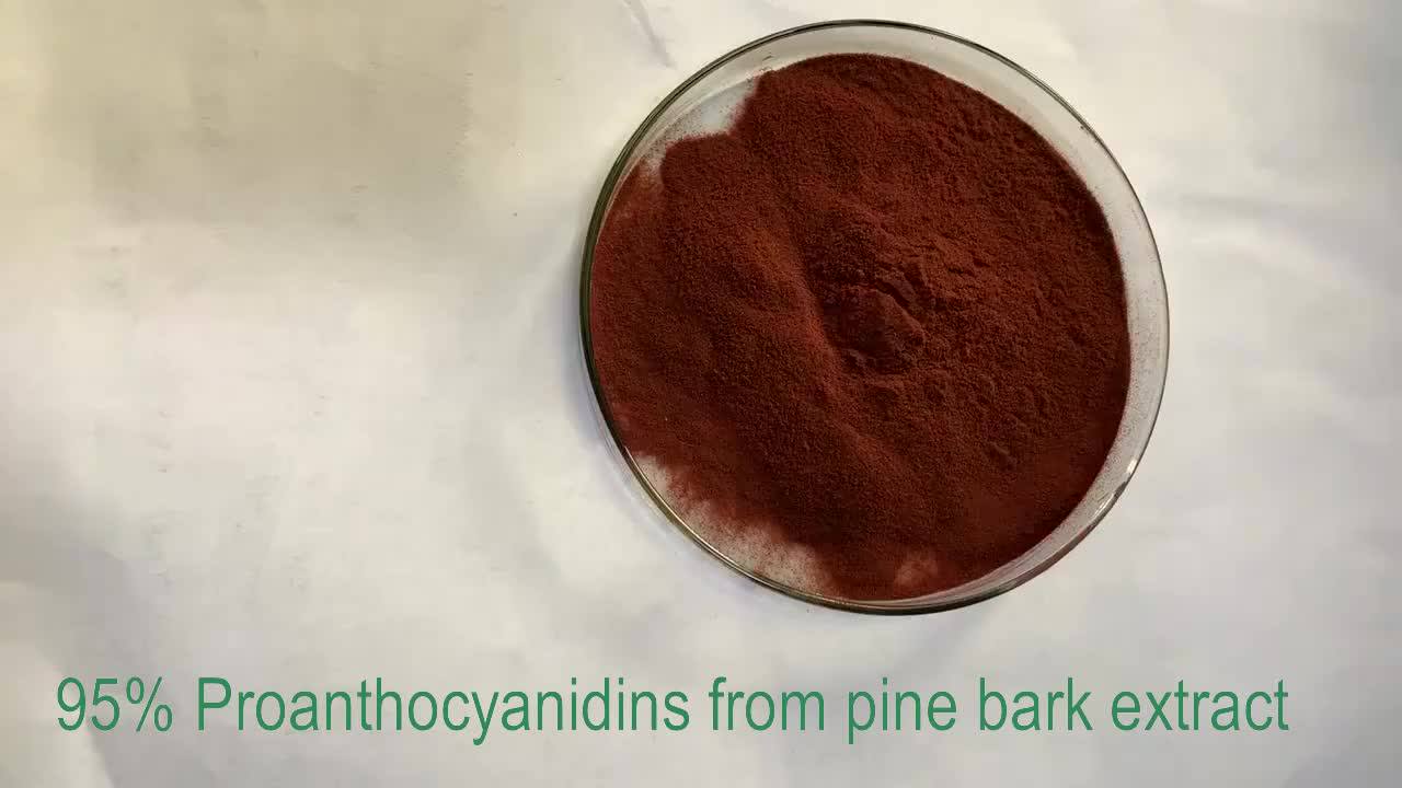 Wellgreen Herbal Medicine Proanthocyanidins 95 Pine Bark Powder Buy