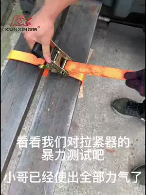 Car fastening strap bundler tensioner tightener fixing cargo tensioner aircraft belt 38MM wide binding strap