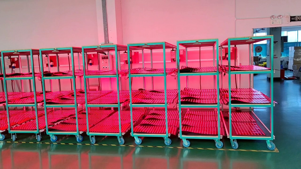 Veterinarian Equine Light Photon Therapy Pain Relief Red/infrared Horse