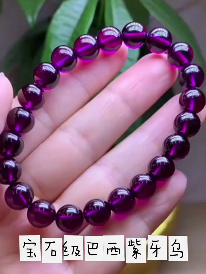 被追问800次的紫牙乌手链✨温柔到心巴上了