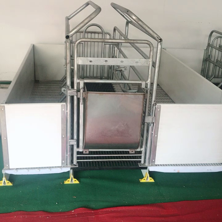 Galvanized Pig Farm Equipment Farrowing Crate Stall Pen For Sow Use