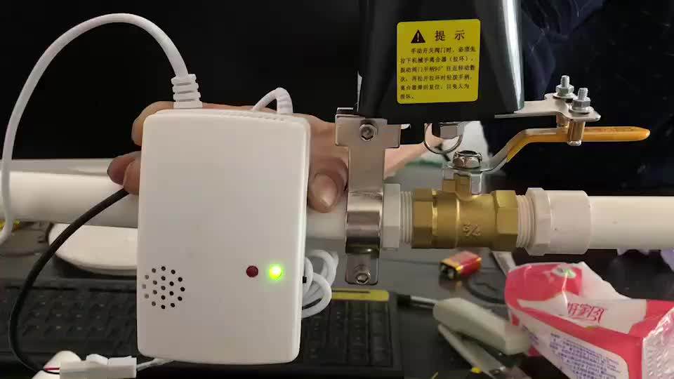 Lpg Gas Leak Detector Alarm Sound And Flash Alarm Portable Buy Carbon