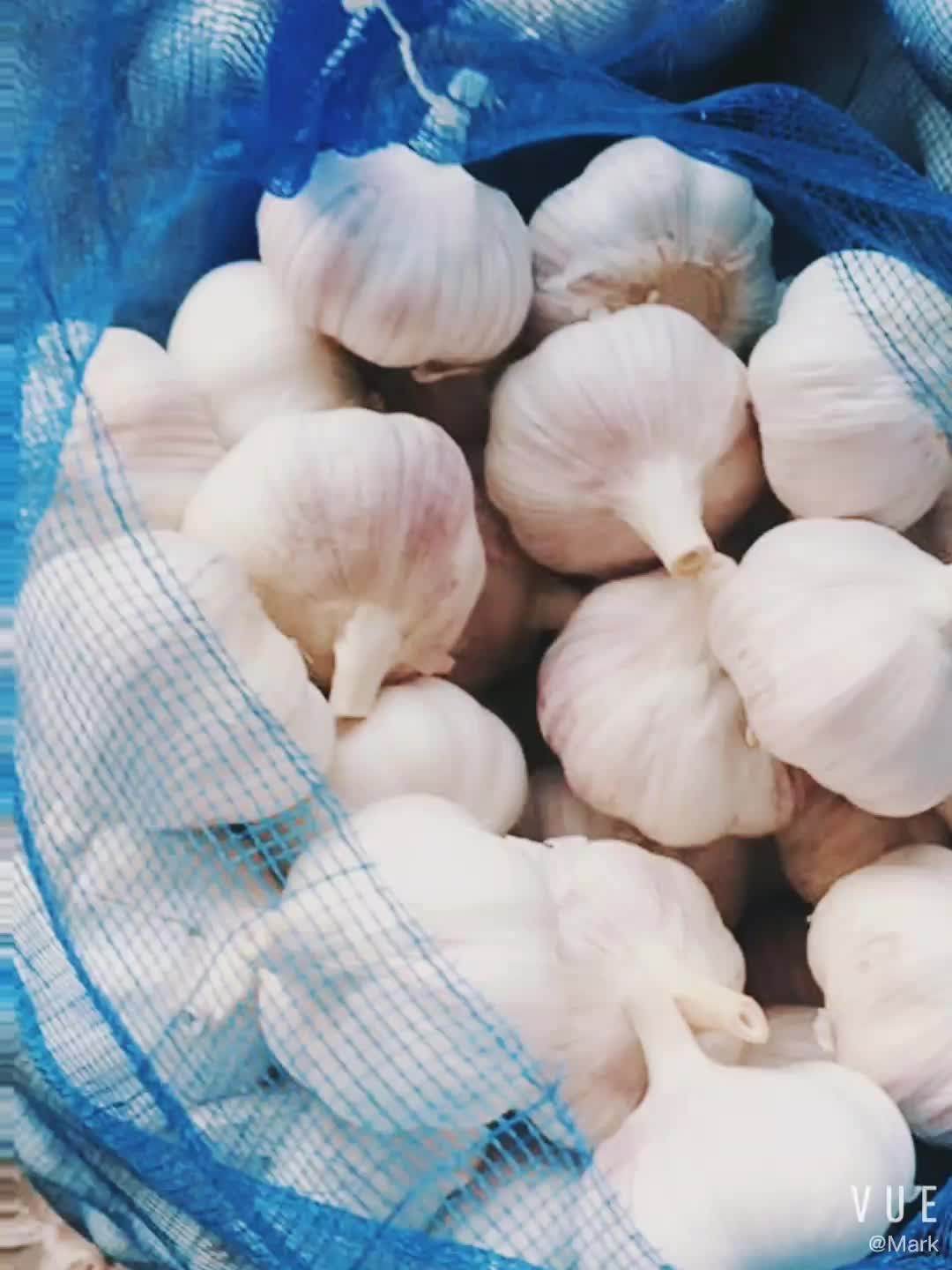 Fresh Vegetables Price Ginger,,Garlic Onion Buy Fresh Vegetables