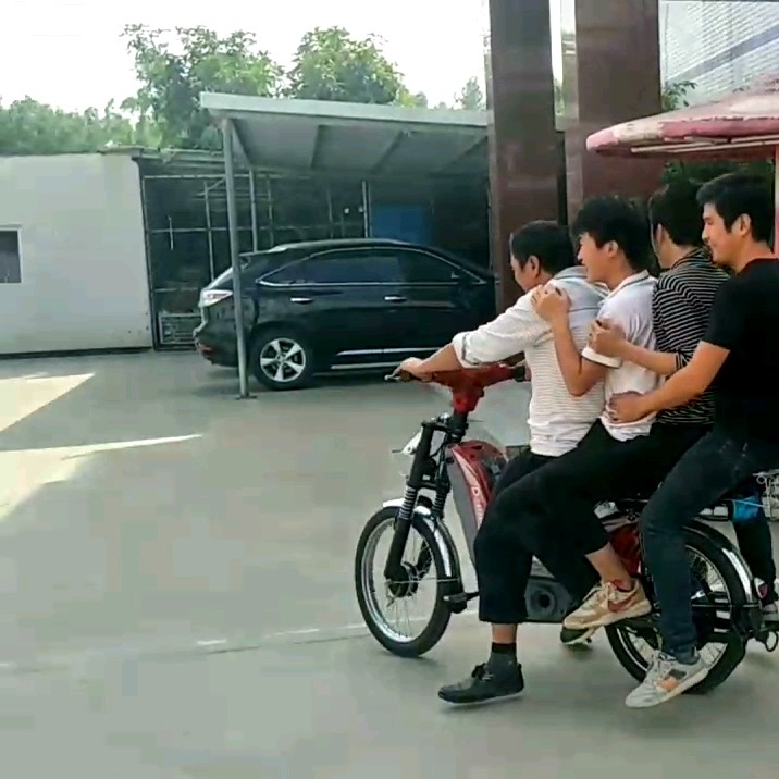 Heavry Loading Electric Bicycle/e Bike/carry Cargo Electric Bicycle