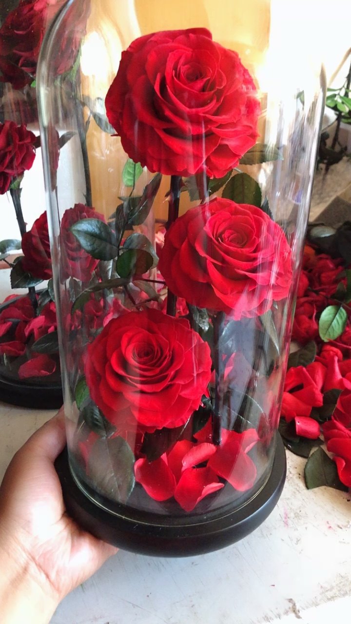 Wholesale Preserved Roses Preserved Roses With Stem In Glass Dome From