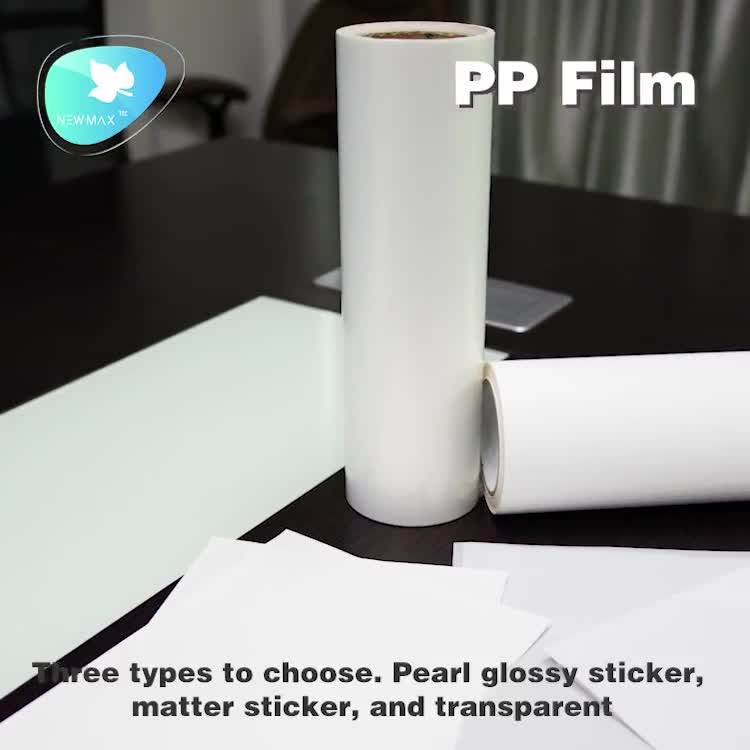 Removable Solvent Based Transparent Pp Vinyl Film Adhesive Film Sticker