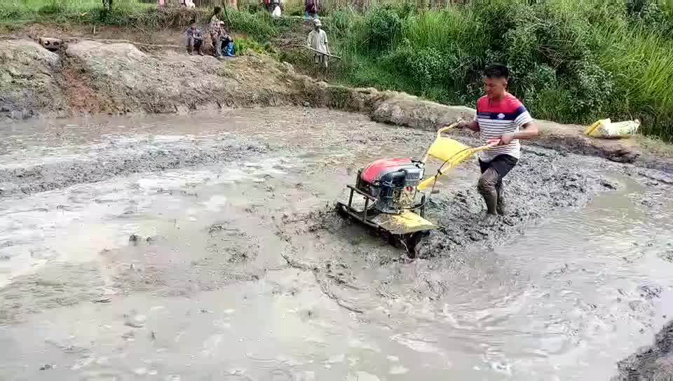 5.5hp Diesel Power Cultivators Mini Tiller Chongqing Rotary Cultivator