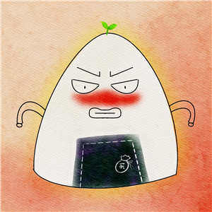 卖国货的小饭团的LOGO
