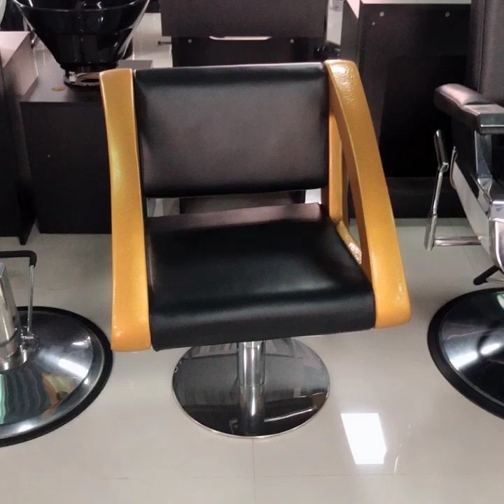 Elegant Style Salon Chairs Beauty Salon Chairs Reclining Beauty Spa