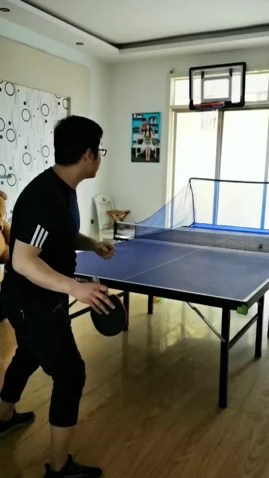 Huieson Table Tennis Netball Catcher Net Ping Pong Ball Collector Net