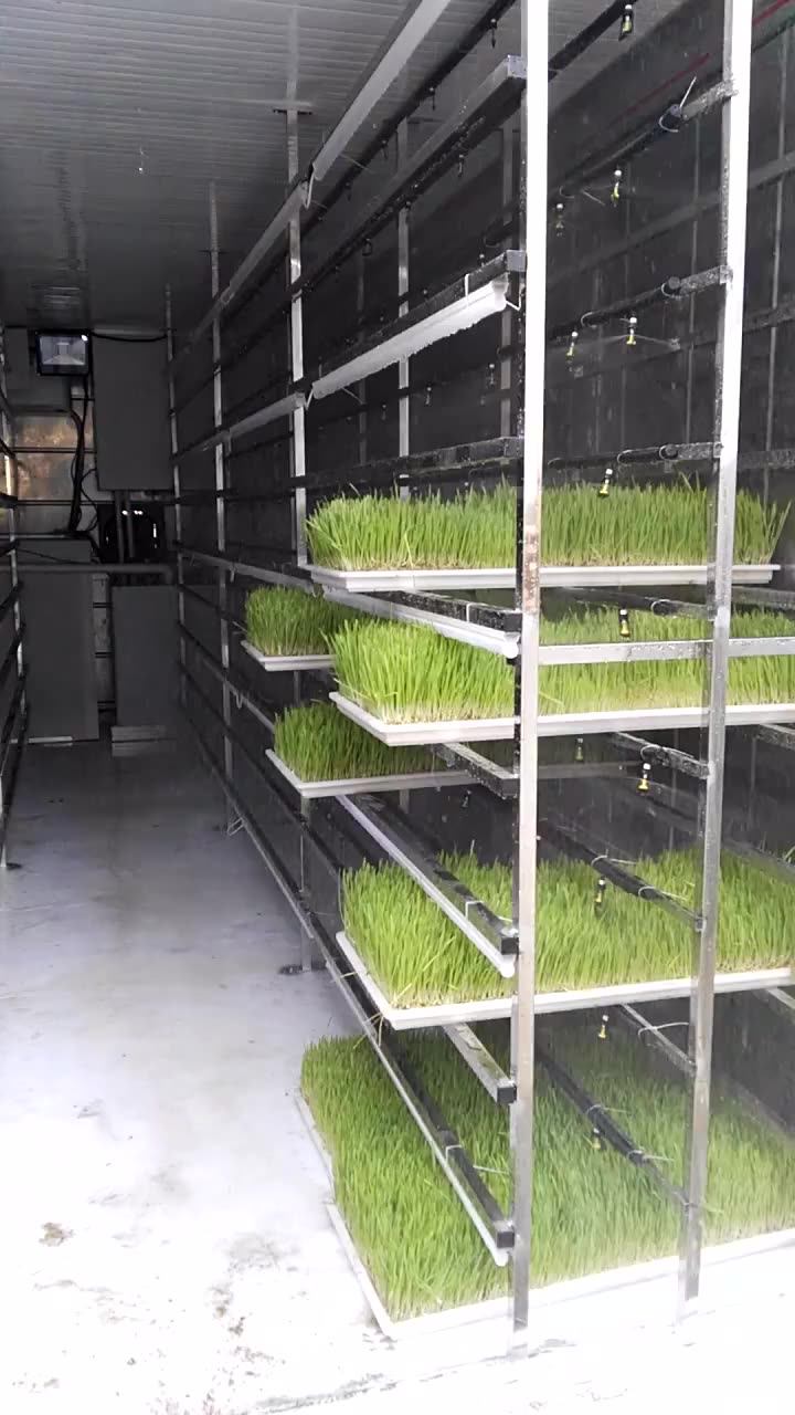 Orangemech Commercial Sprout Equipment Sprouting Seeds Seed Growing
