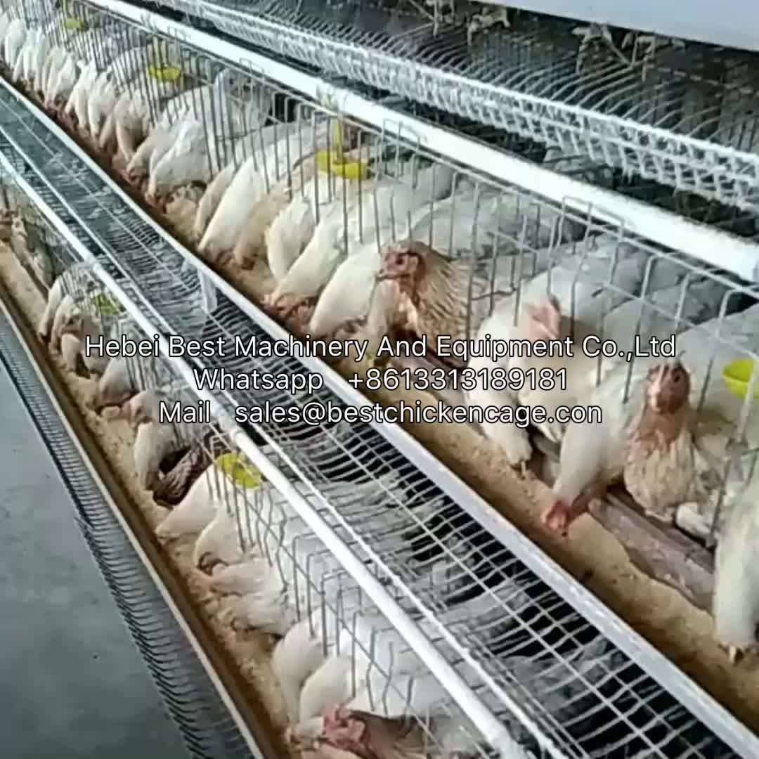 Best Quality Poultry Layer Chicken Cage For Chicken Farm Buy Layer Chicken Cagepoultry Chicken Cagepoultry Cage Chicken Layer Product On