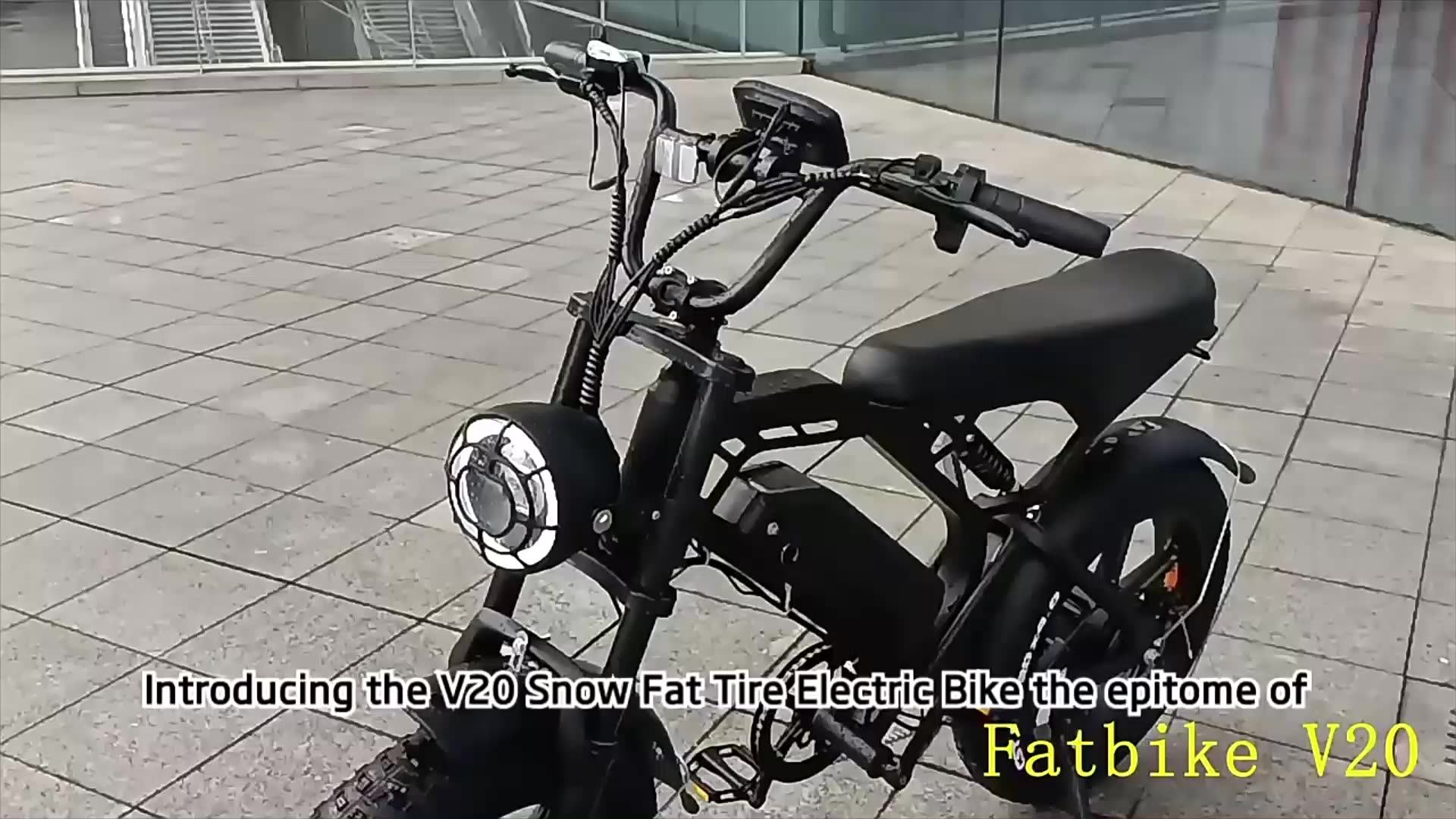 Fafrees FF20CUV Longtail E-Bike - Lastenrad 250W Mit 200kg Tragkraft