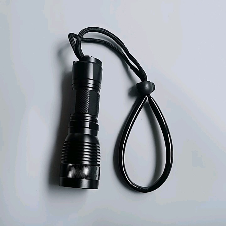 Dlb03 Professional Aluminum 1000 Lumen Deep Sea Scuba Diving Lights