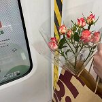 六六の花店