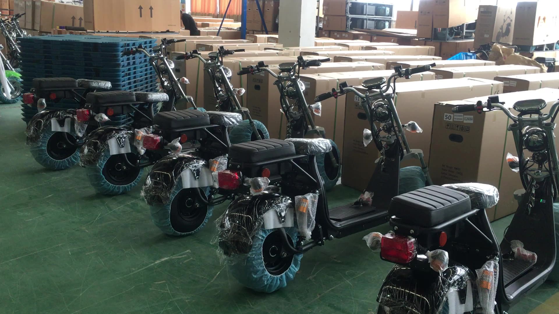 Fashion Citycoco Electric Scooter Parts Controller Germany