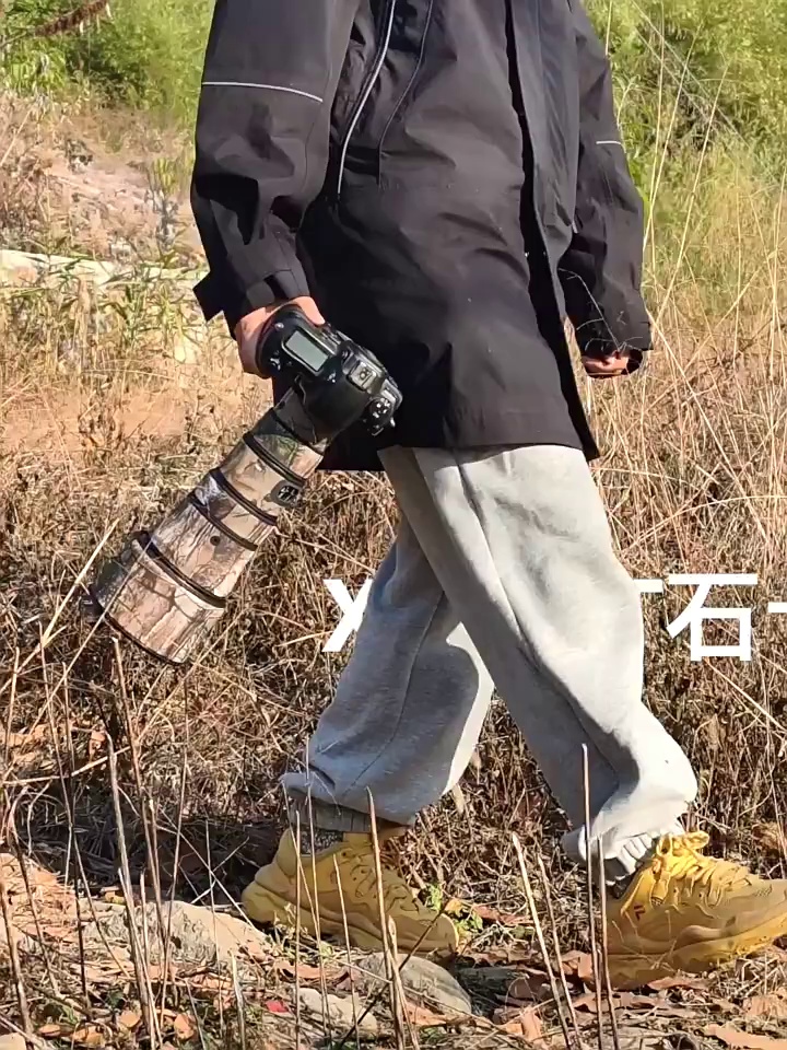 尼康556出街被认出。这防水套真可伪装成“路人机”？