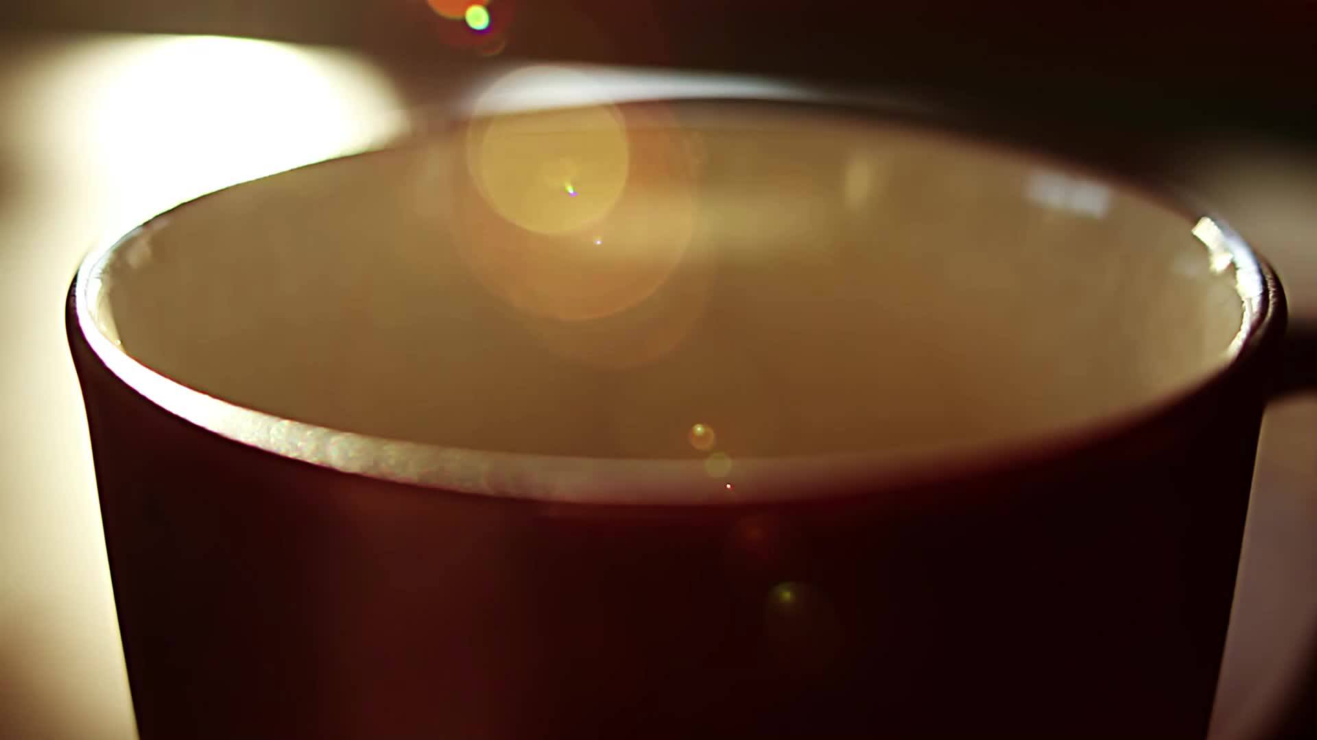 Kopi luwak coffee for sale philippines