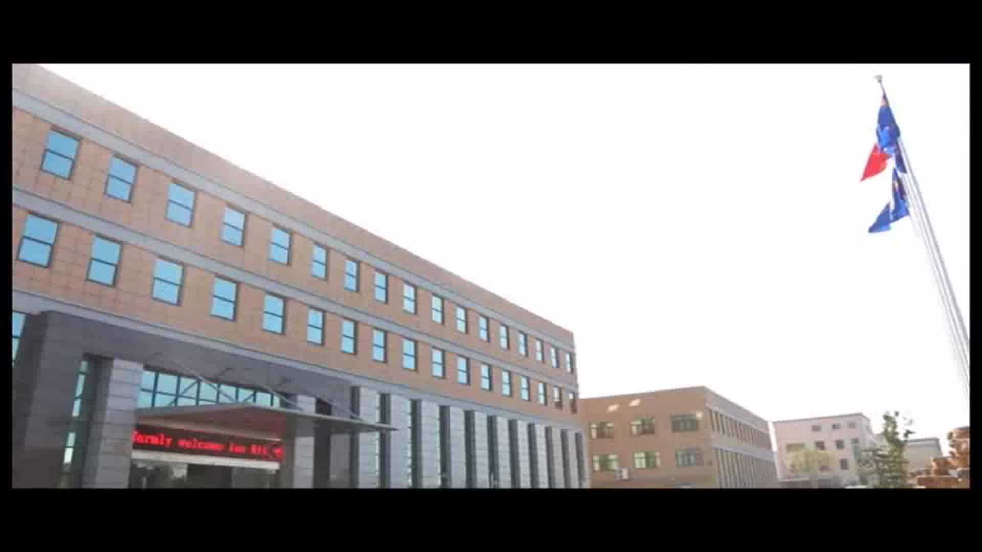 Custom Wall Mounted Acrylic Photo,Wall Art Home Decor Acrylic Paintings