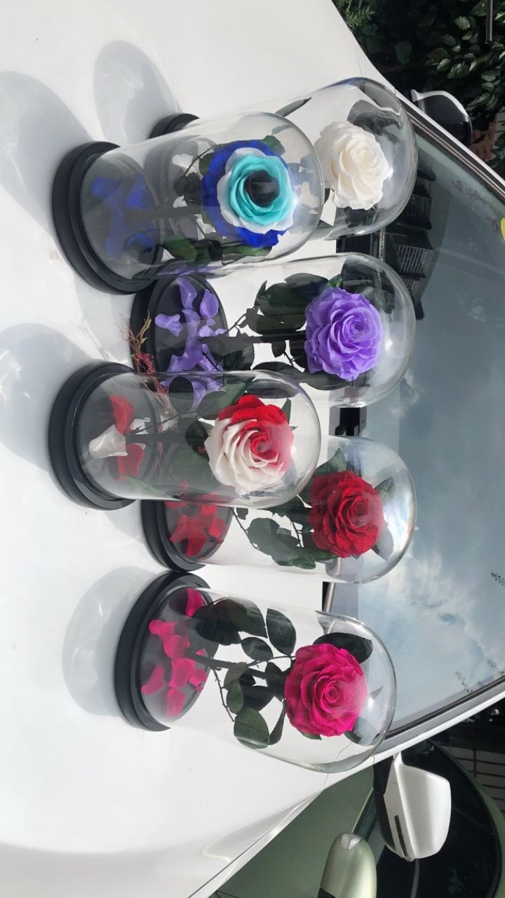 Wholesale Red Real Natural Eternity Preserved Roses Flower In Glass