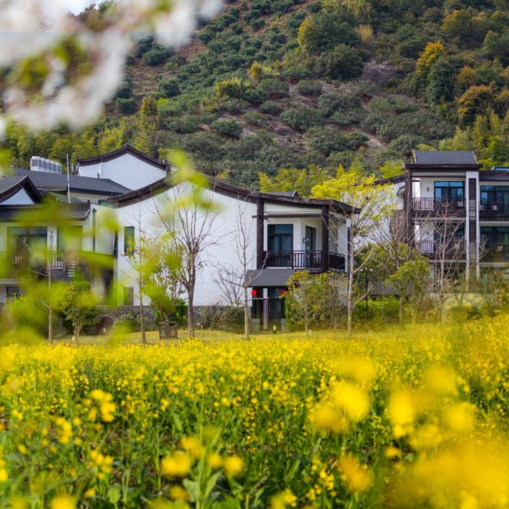 张家界途掌柜纯玩团：一场真正的山水之旅