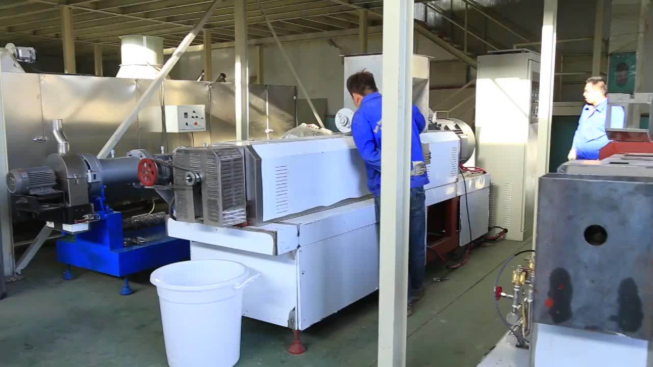 Dry Pet Animal Food Processing Line Equipment For The Production Of Dog