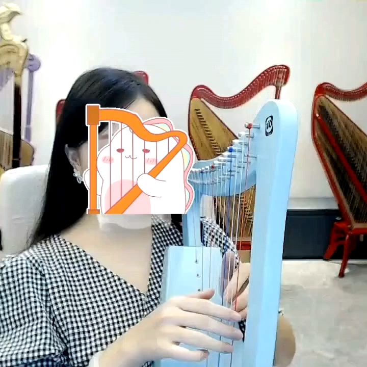 Walter 2025 Newest Fashion 19 String Lyre Harp with Free Bag