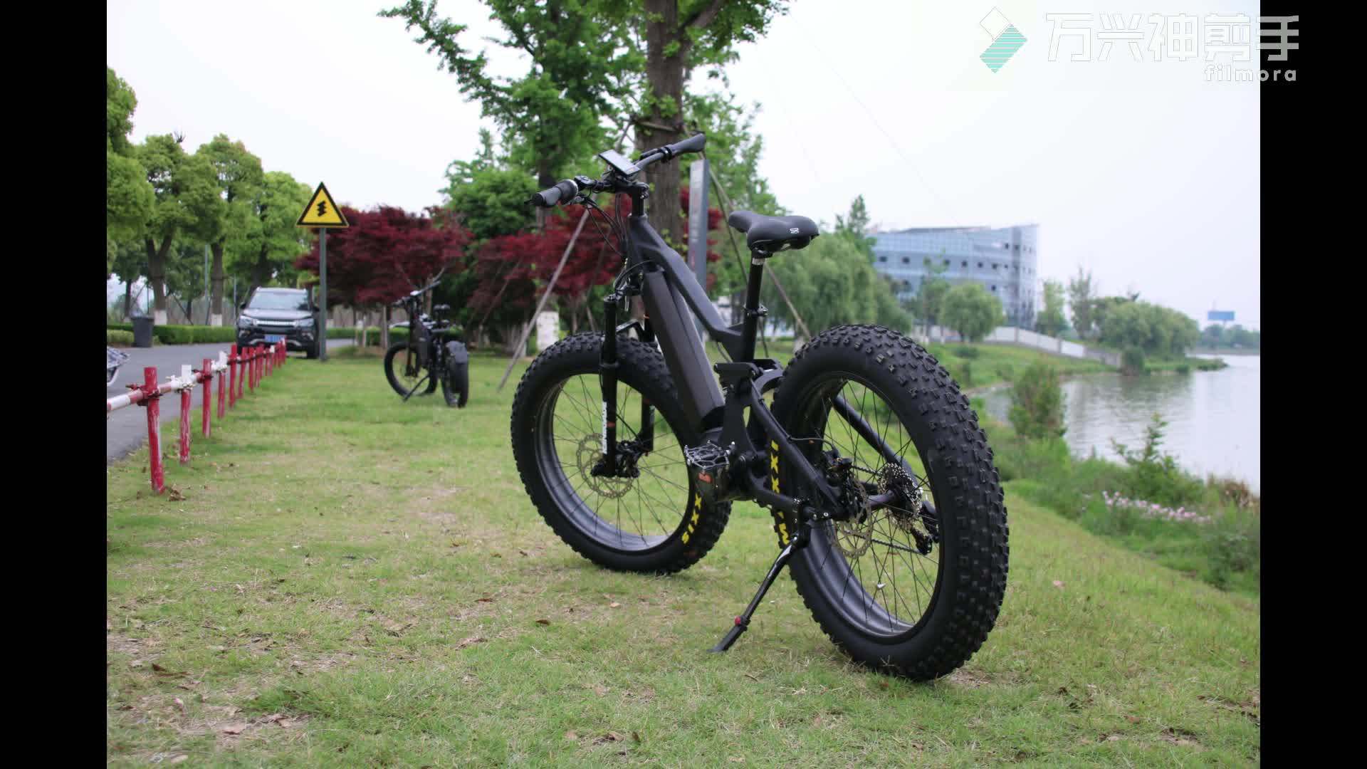cheap speed pedelec