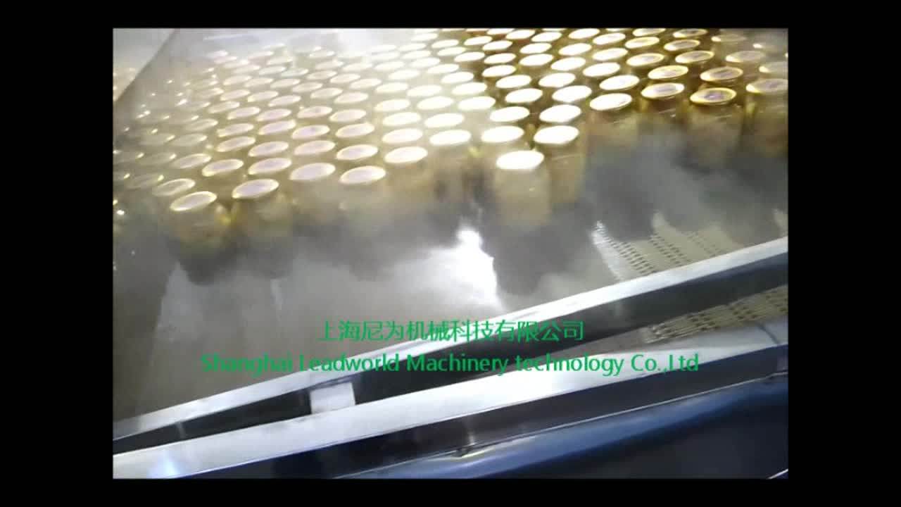 Water Bath Sterilizing Machine/ Cans Sterilizer/ Bottles Pasteurizer
