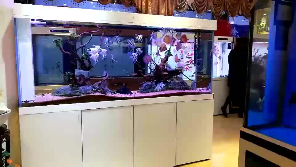 Cleair Aquatics High Quality Optiwhite Glass Aquarium Buy Optiwhite Glass Aquarium,Cleair