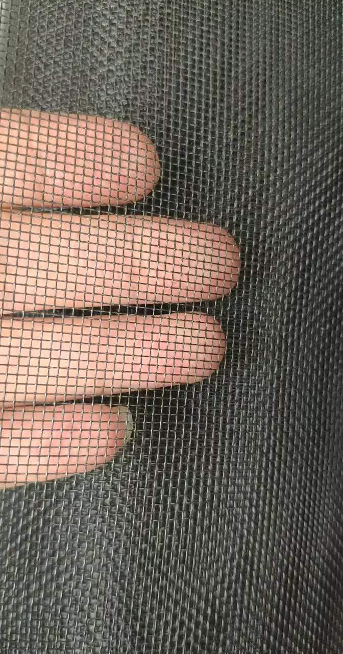 Powder Coated Metal Mosquito Mesh Netting Stainless Steel Painted