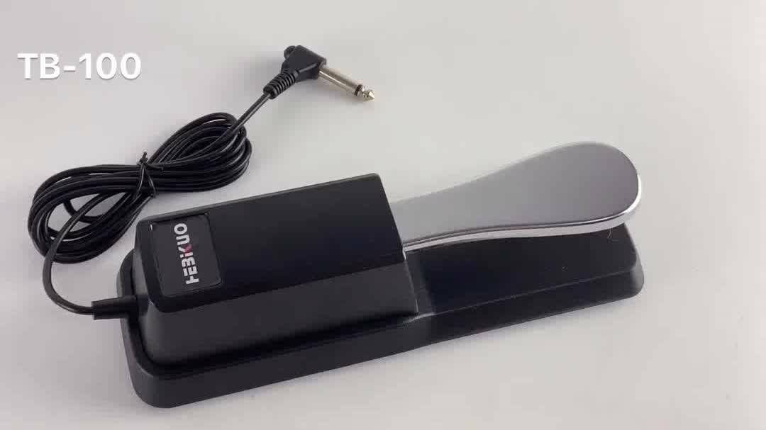 Tb100 Professional Keyboard/piano Electric Guitar Sustain Pedal Buy Electric Guitar Sustain