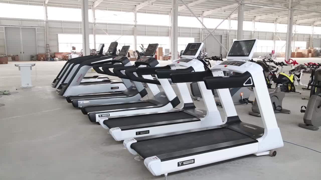 Wholesale Price Euro Standard High End Fitness Equipment Body Building