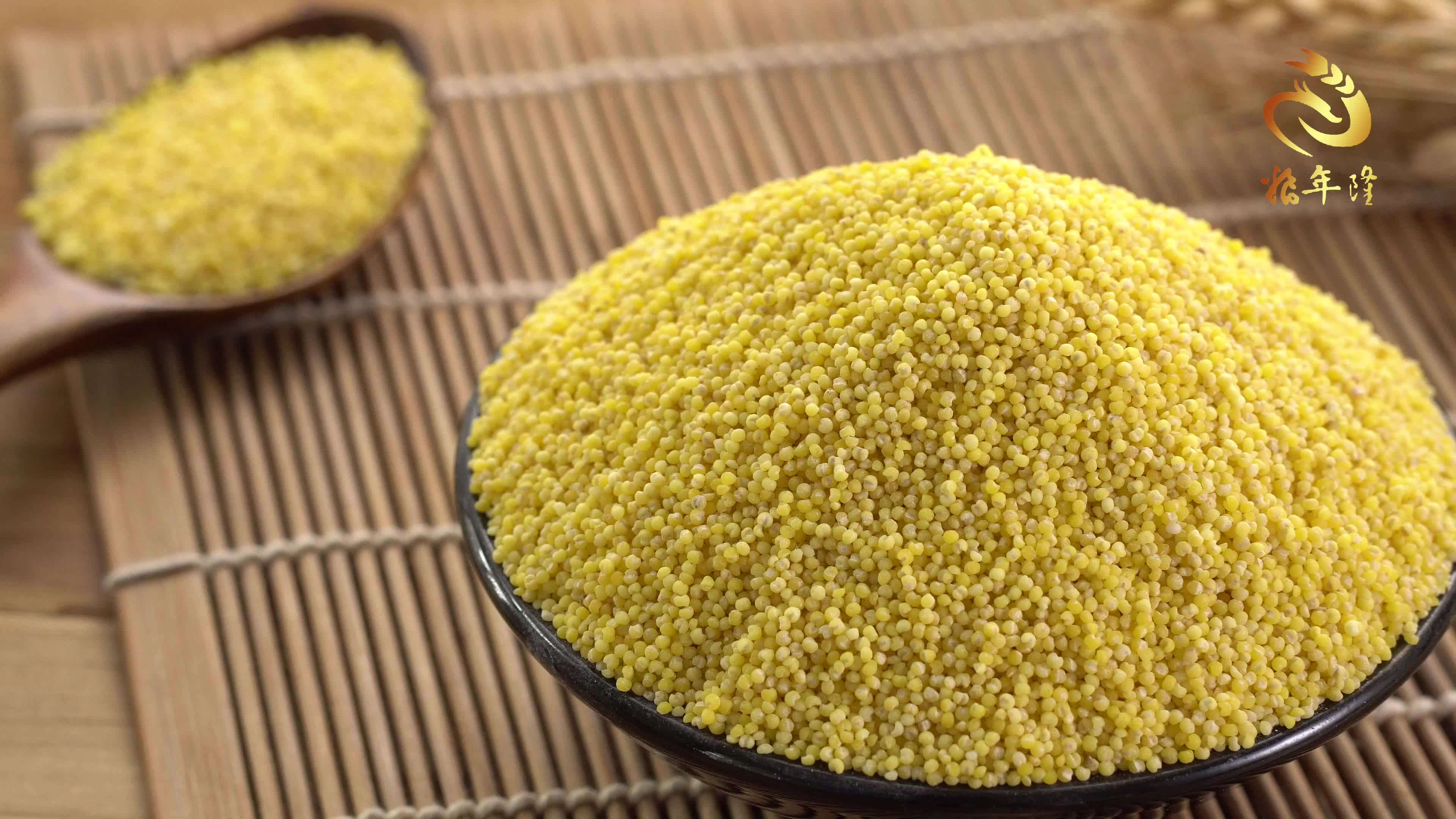 Yellow White Broomcorn Millet Yellow Broom Corn Millet Grains Millets