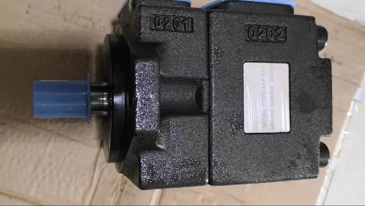 sunny hydraulic pump