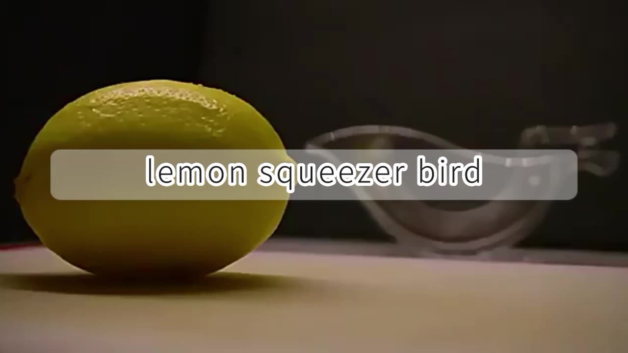 Portable Transparent Acrylic Manual Fruit Lemon Juicer Hand Lemon