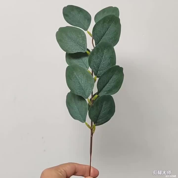 эвкалиптовый шелк